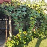 Casa de Férias Linet Funtana