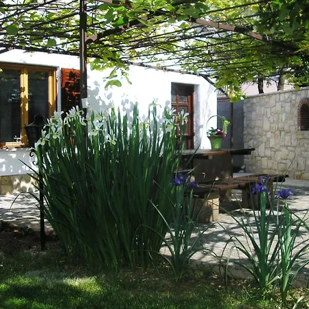 Linet Holiday home
