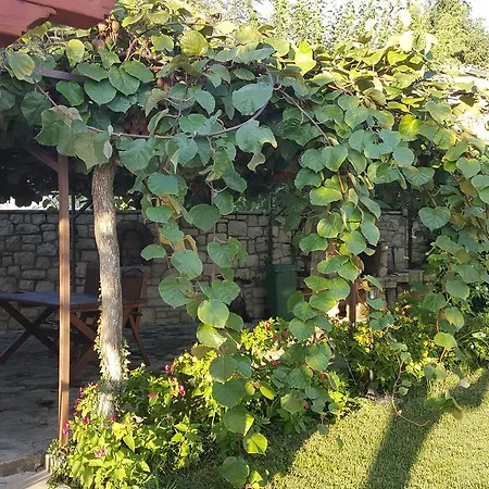 Дом отдыха Holiday Linet Фунтана