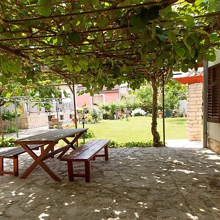 Linet * فونتانا