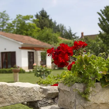 Linet Hébergement de vacances Funtana